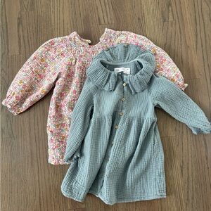 Zara Floral and Blue Dresses